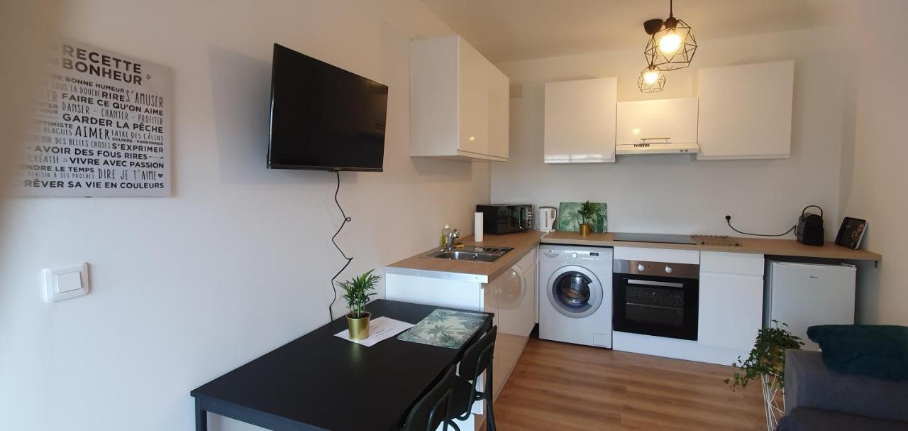 Charmant T2 Avec Grande Terrasse Quartier Jardin Massey Tarbes Zewnętrze zdjęcie